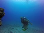 Hawaii Scuba divng 35