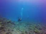 Hawaii Scuba divng 46