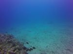 Hawaii Scuba divng 47