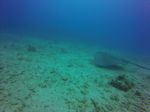 Hawaii Scuba divng 49