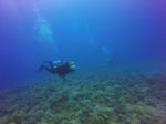 Hawaii Scuba divng 51