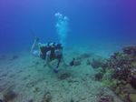 Hawaii Scuba divng 54