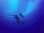 Hawaii Scuba divng 05