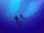 Hawaii Scuba divng 06