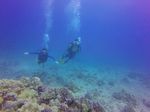 Hawaii Scuba divng 11