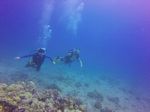 Hawaii Scuba divng 13