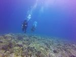 Hawaii Scuba divng 14