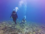 Hawaii Scuba divng 16