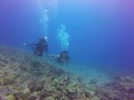 Hawaii Scuba divng 17