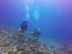 Hawaii Scuba divng 18