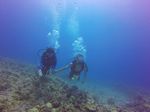 Hawaii Scuba divng 19