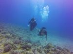 Hawaii Scuba divng 20