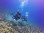 Hawaii Scuba divng 21