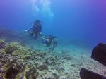 Hawaii Scuba divng 22