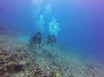 Hawaii Scuba divng 24