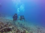 Hawaii Scuba divng 25