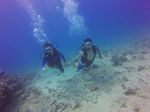 Hawaii Scuba divng 26