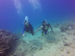 Hawaii Scuba divng 27