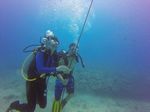 Hawaii Scuba divng 28