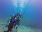 Hawaii Scuba divng 29