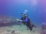 Hawaii Scuba divng 05