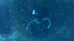 Hawaii scuba 35