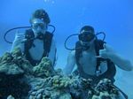 Hawaii Scuba divng 20