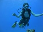 Hawaii Scuba divng 21