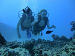 Hawaii Scuba divng 22