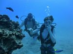 Hawaii Scuba divng 27