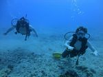 Hawaii Scuba divng 34