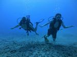 Hawaii Scuba divng 35