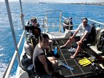 Hawaii Scuba divng 40