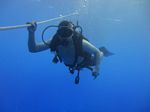 Hawaii Scuba divng 41