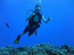 Hawaii Scuba divng 42