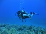 Hawaii Scuba divng 43