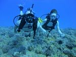 Hawaii Scuba divng 46