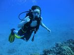 Hawaii Scuba divng 47