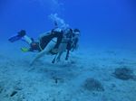 Hawaii Scuba divng 49