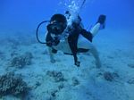 Hawaii Scuba divng 51