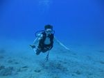 Hawaii Scuba divng 52