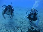 Hawaii Scuba divng 54