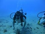 Hawaii Scuba divng 56