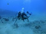 Hawaii Scuba divng 58