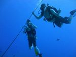 Hawaii Scuba divng 61