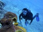 Hawaii Scuba divng 17