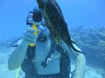 Hawaii Scuba divng 01