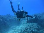 Hawaii Scuba divng 20