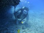 Hawaii Scuba divng 21