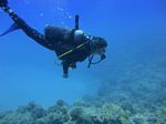 Hawaii Scuba divng 23